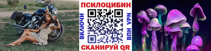 блэк спрут ссылки  Зерноград  Галлюциногенные грибы Cubensis 